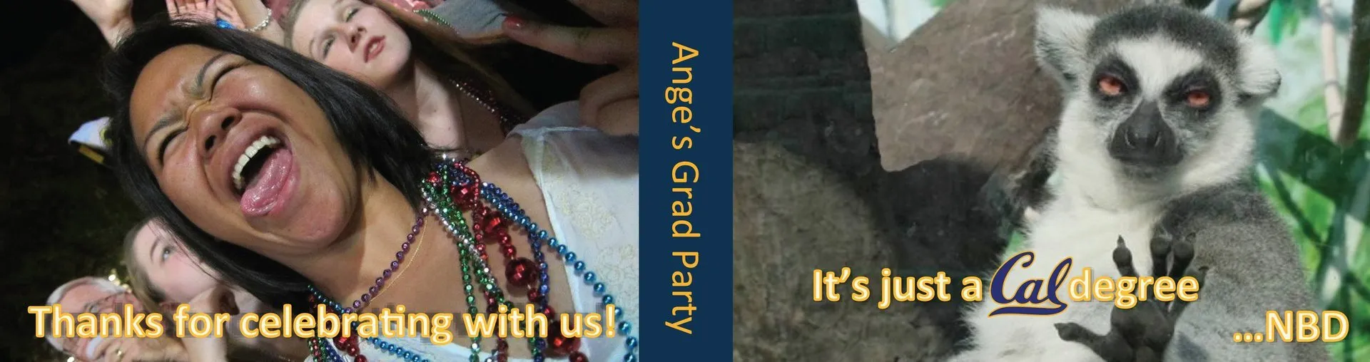 Custom mitzvah flipbook cover for Angee's celebration